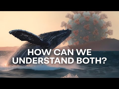 Whales and Viruses | The Light of Evolution - Episode 1