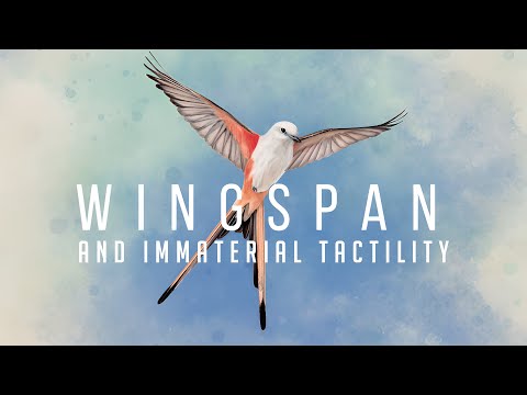 Wingspan and Immaterial Tactility